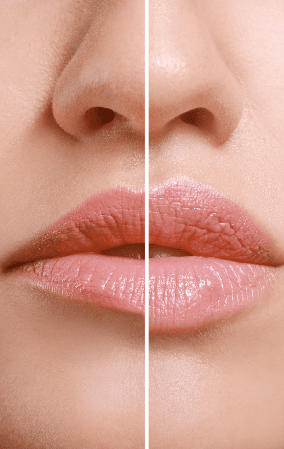 shutterstock_1559455463-1-2